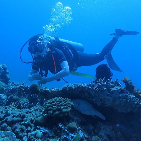 Labuhan Pandan East Lombok Dive Hotel - 3 Private Rooms On The Beach With Seaview & Scuba Diving Center מראה חיצוני תמונה