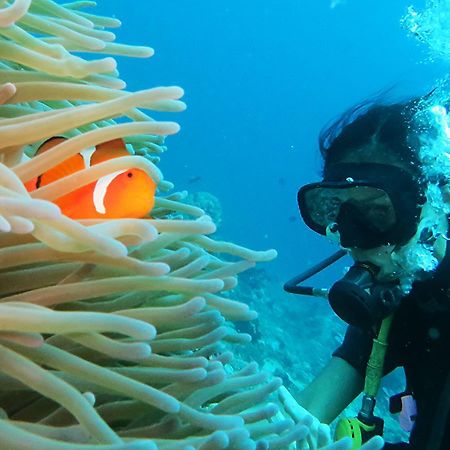 Labuhan Pandan East Lombok Dive Hotel - 3 Private Rooms On The Beach With Seaview & Scuba Diving Center מראה חיצוני תמונה