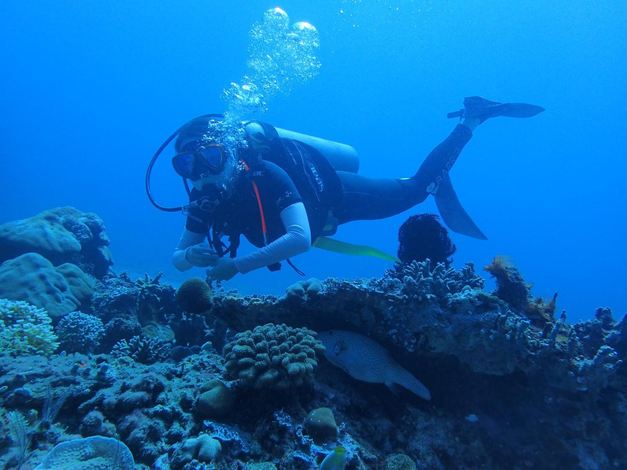 Labuhan Pandan East Lombok Dive Hotel - 3 Private Rooms On The Beach With Seaview & Scuba Diving Center מראה חיצוני תמונה