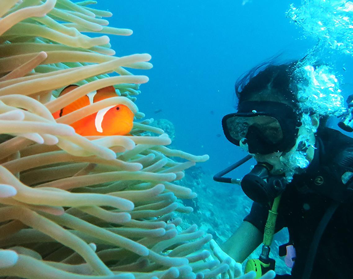 Labuhan Pandan East Lombok Dive Hotel - 3 Private Rooms On The Beach With Seaview & Scuba Diving Center מראה חיצוני תמונה