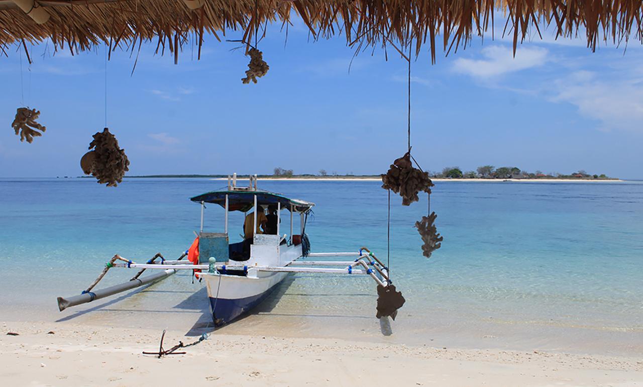 Labuhan Pandan East Lombok Dive Hotel - 3 Private Rooms On The Beach With Seaview & Scuba Diving Center מראה חיצוני תמונה